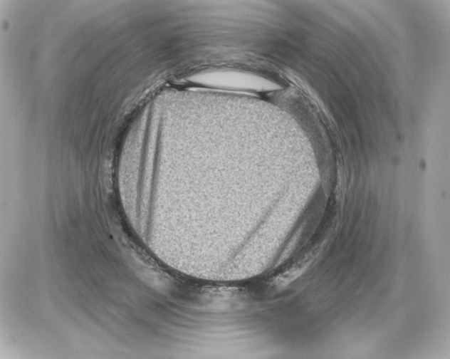 X0000085260497200704092118