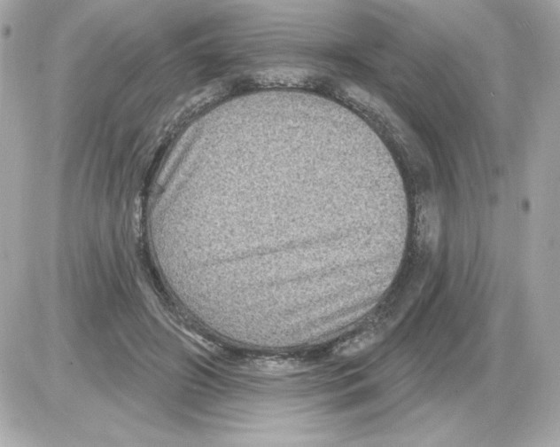 X0000085260498200704092118