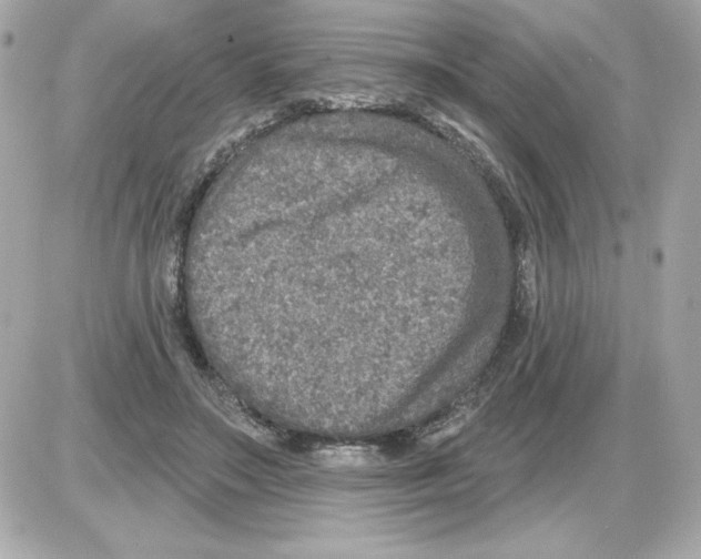 X0000085260499200704092118