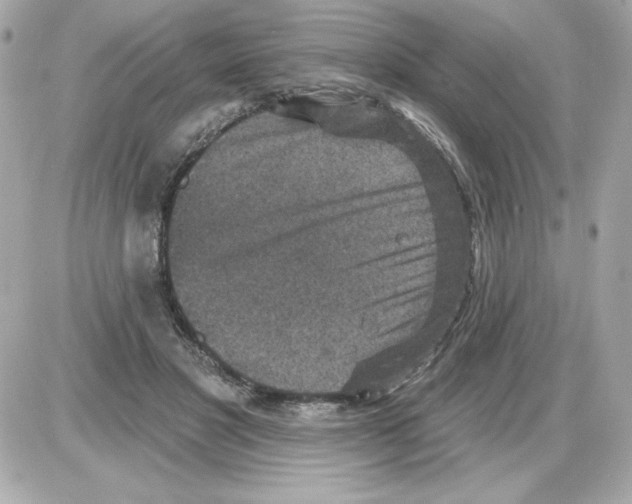 X0000085260501200704092118