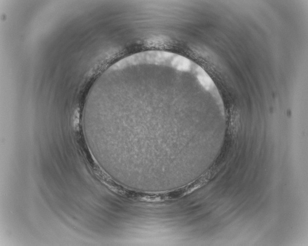 X0000085260502200704092118