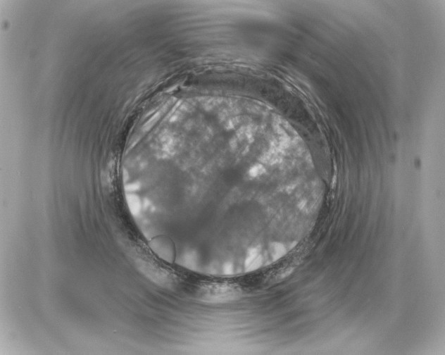 X0000085260503200704092118