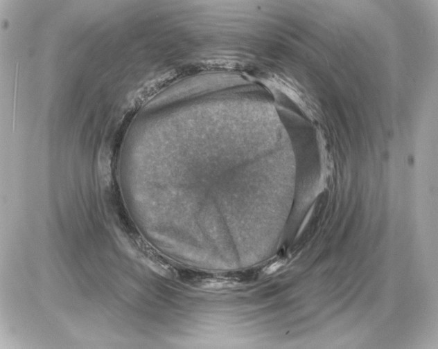 X0000085260504200704092118