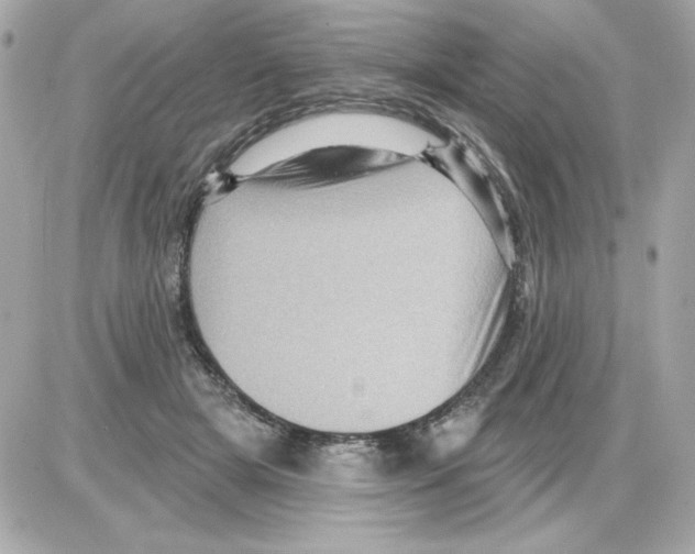 X0000085260505200704092118