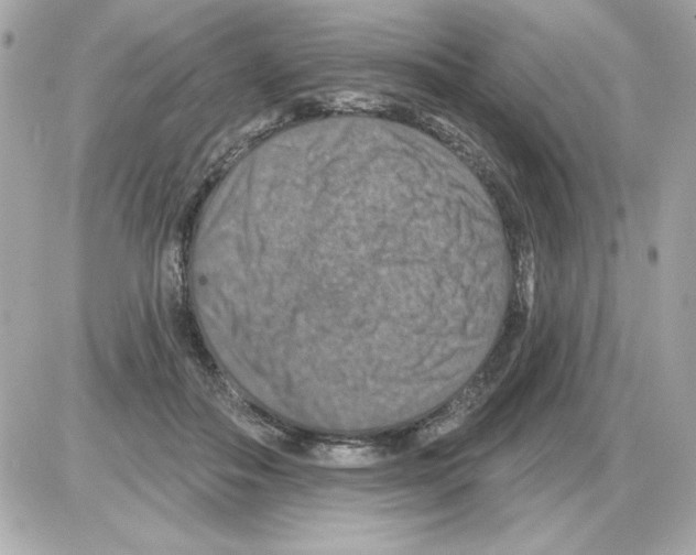 X0000085260506200704092118