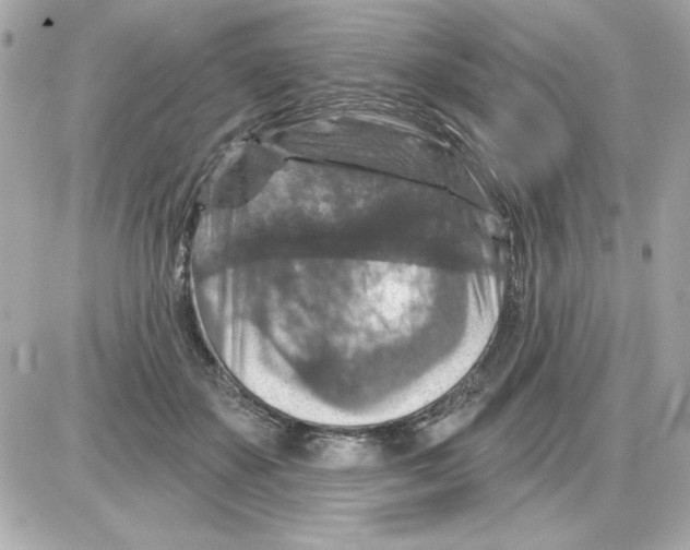 X0000085260507200704092118