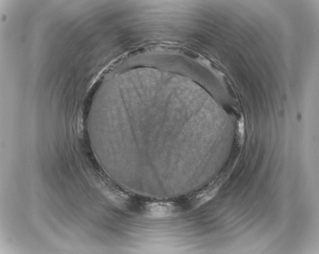 X0000085260508200704092118