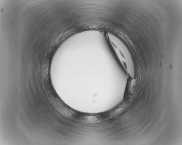 X0000085260509200704092118