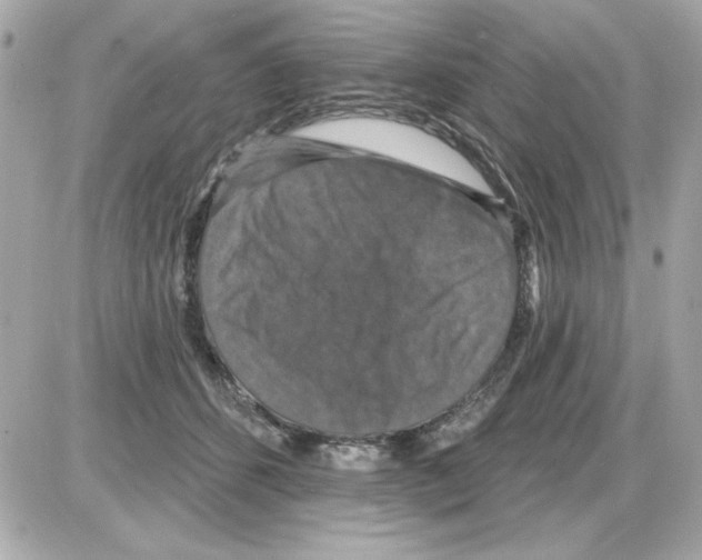 X0000085260512200704092118