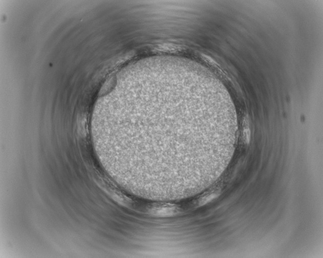 X0000085260514200704092118