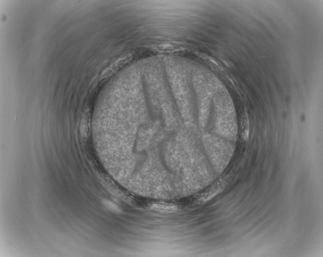 X0000085260515200704092118