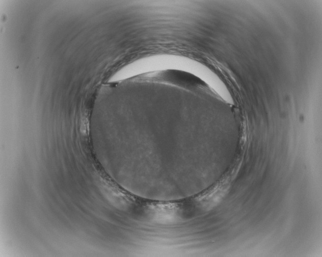 X0000085260517200704092118