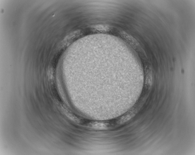 X0000085260518200704092118