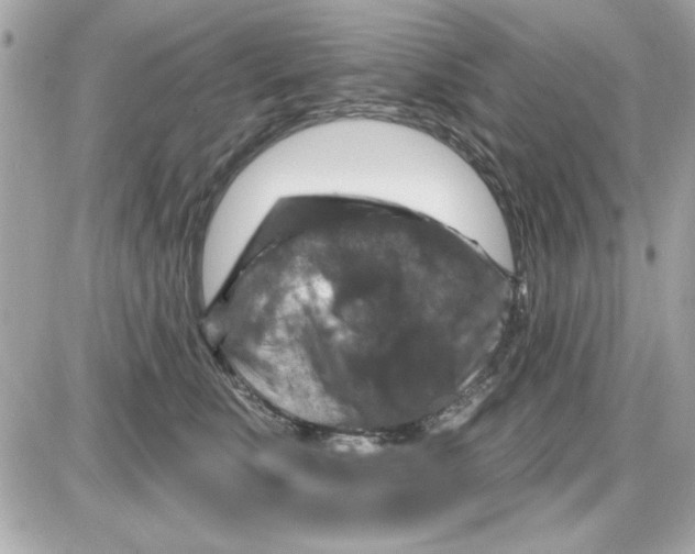 X0000085260519200704092118