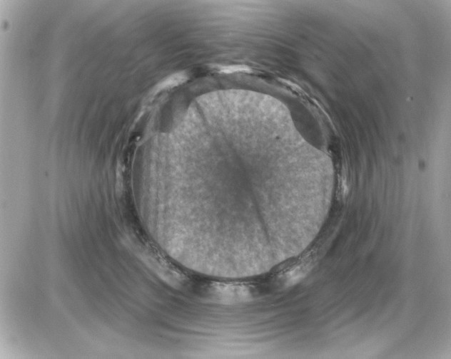 X0000085260520200704092118