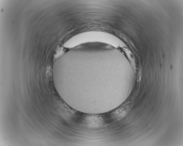 X0000085260521200704092118