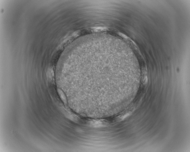 X0000085260523200704092117