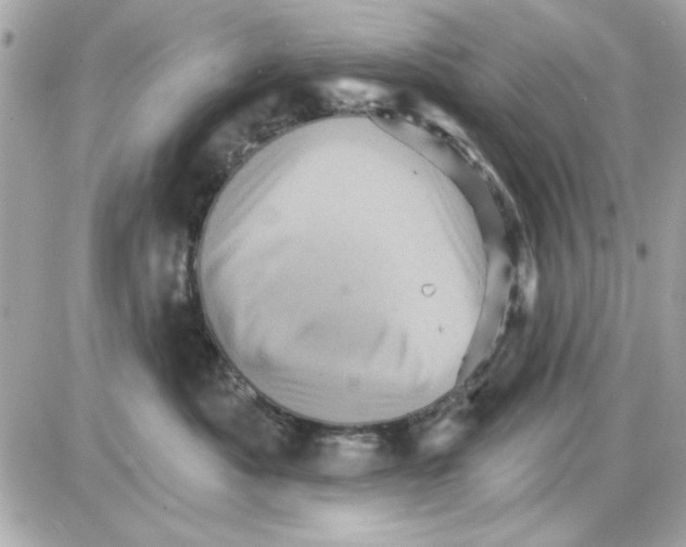 X0000085260525200704092117