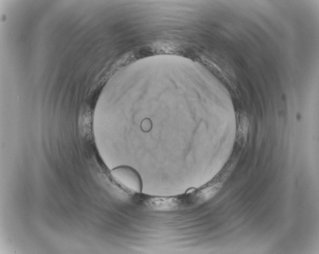 X0000085260526200704092117