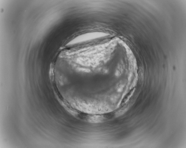 X0000085260527200704092117