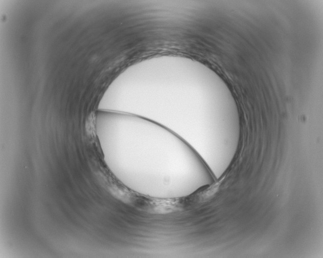 X0000085260528200704092117