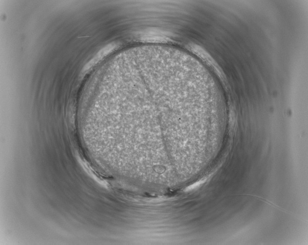 X0000085260533200704092117