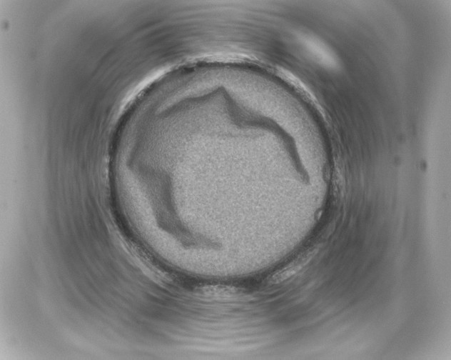 X0000085260535200704092117