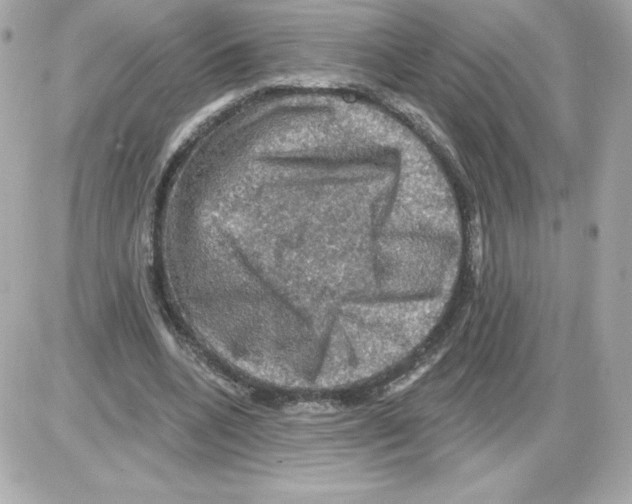 X0000085260536200704092117