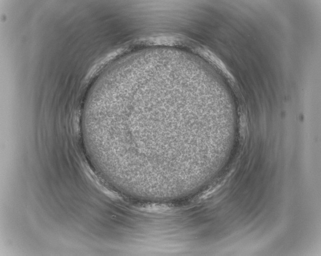 X0000085260537200704092117