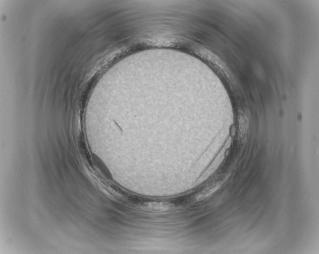 X0000085260541200704092117