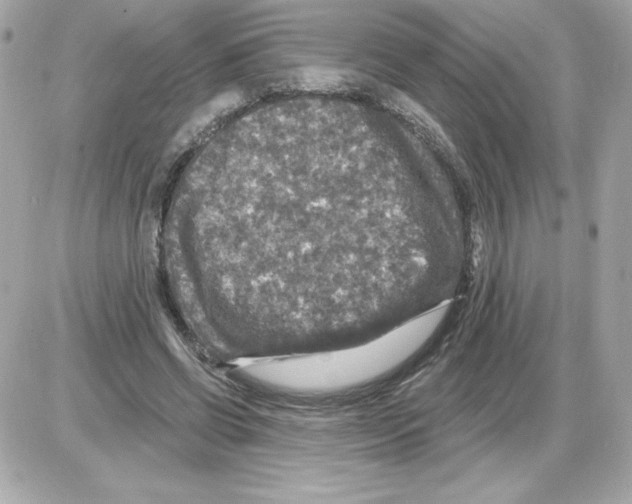 X0000085260542200704092117