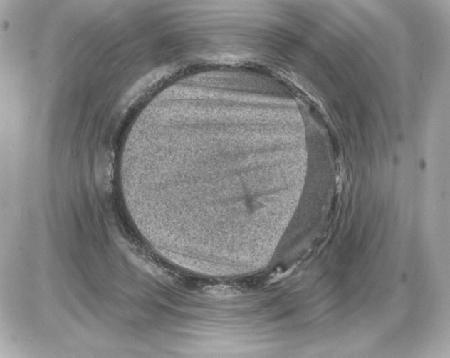 X0000085260544200704092117