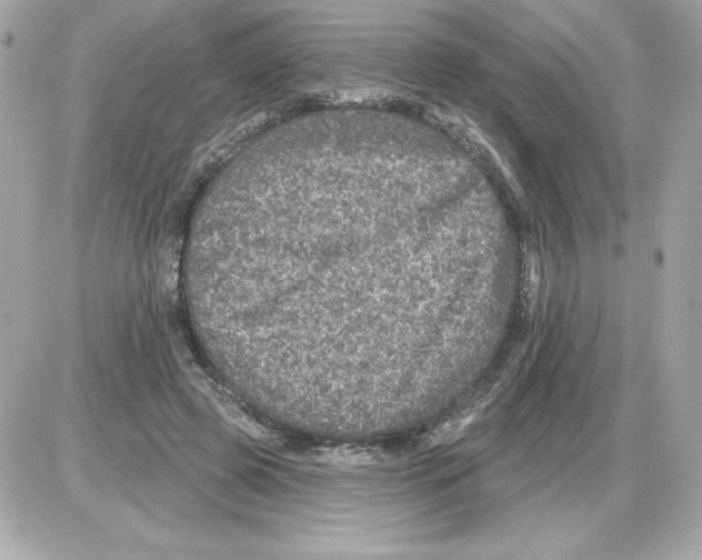 X0000085260545200704092117