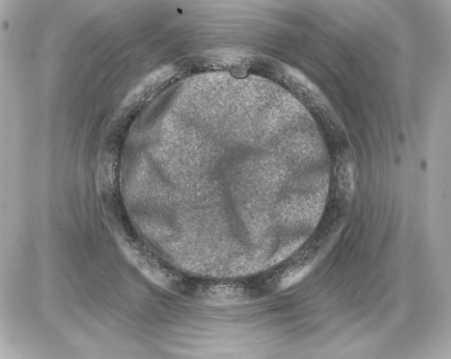 X0000085260546200704092117