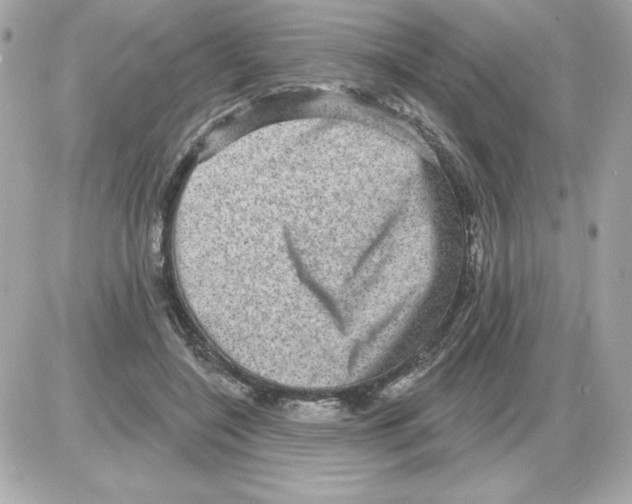 X0000085260548200704092117