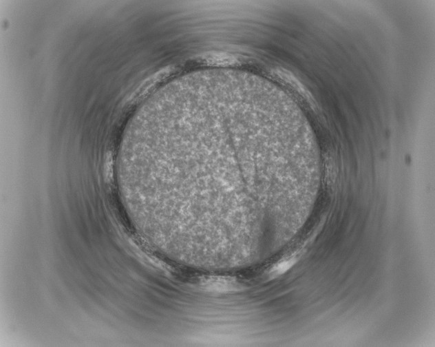 X0000085260549200704092117