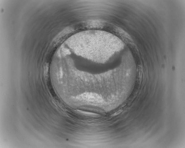 X0000085260550200704092117