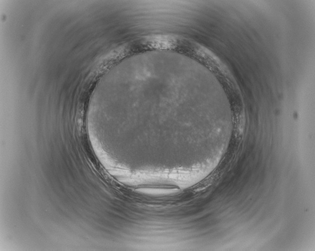 X0000085260553200704092117