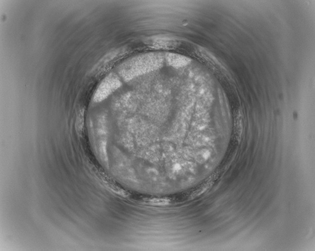 X0000085260554200704092117