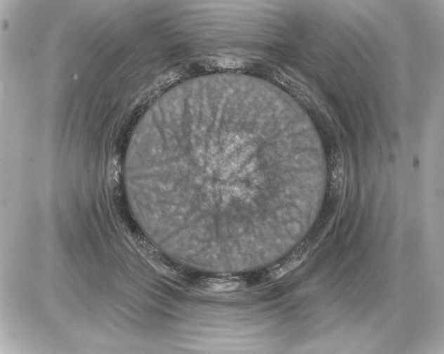 X0000085260555200704092117