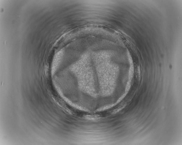 X0000085260556200704092117