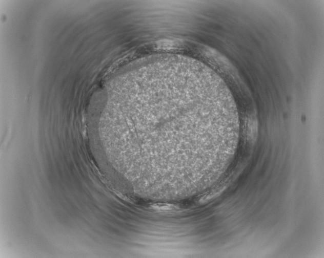 X0000085260557200704092117