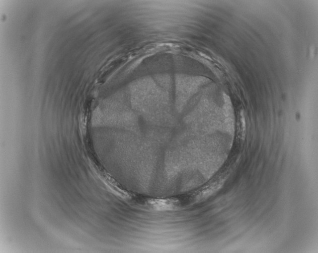 X0000085260558200704092117