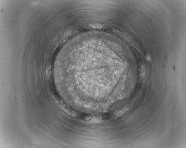 X0000085260559200704092117