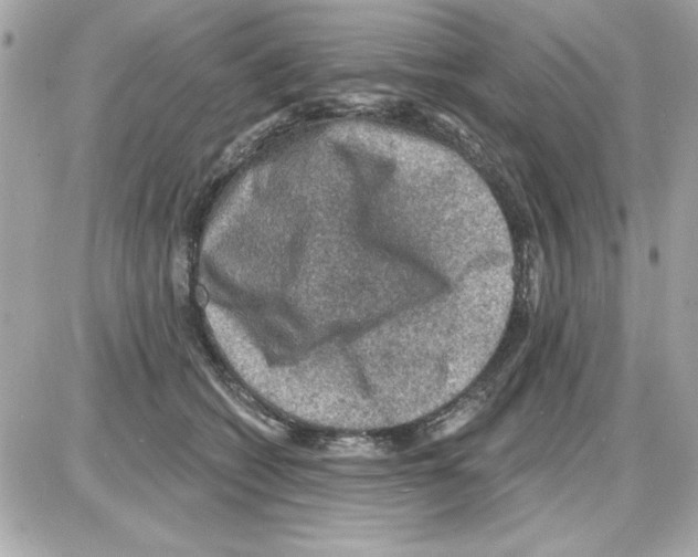 X0000085260562200704092117