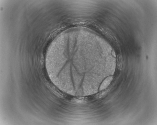 X0000085260563200704092117