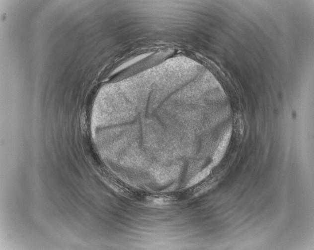 X0000085260564200704092117