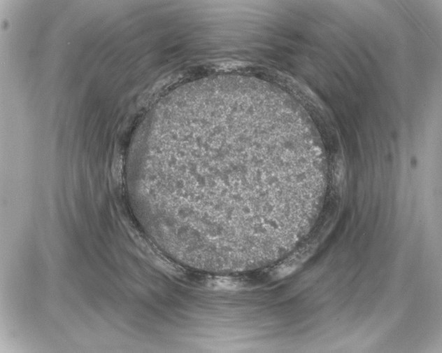 X0000085260565200704092117