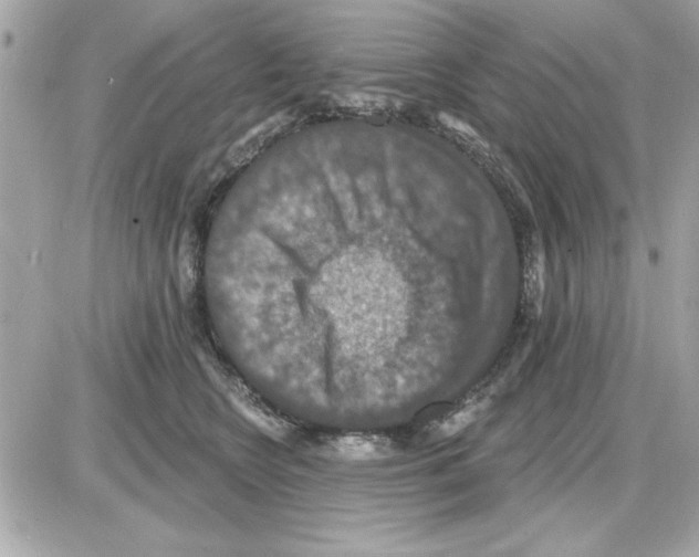 X0000085260566200704092117