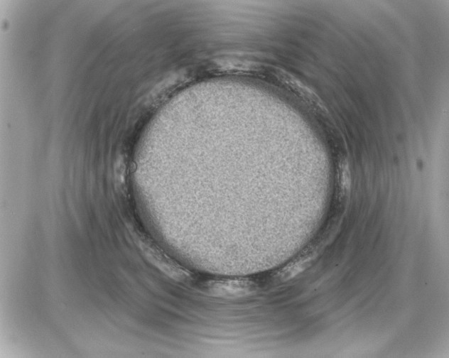 X0000085260567200704092117